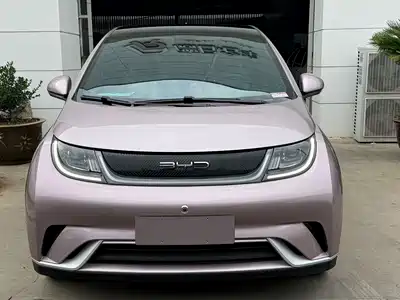 BYD Dolphin 2022