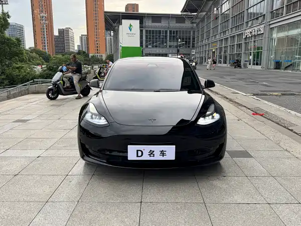 Tesla Model 3 2021