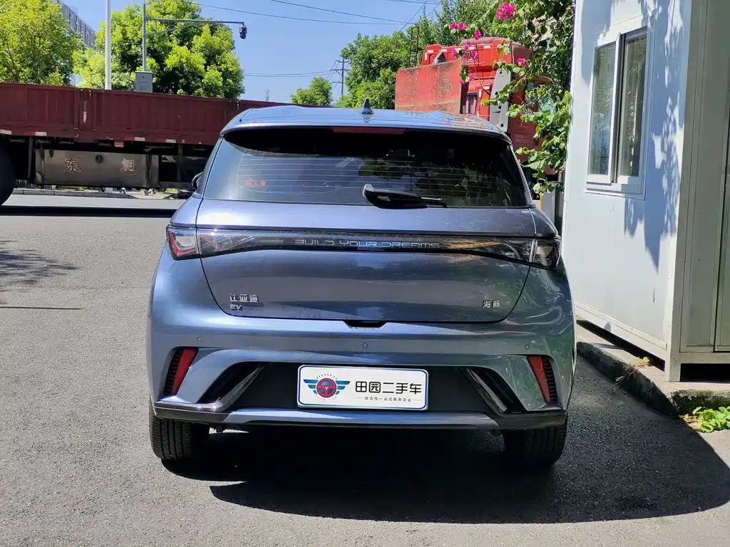 BYD Dolphin 2024
