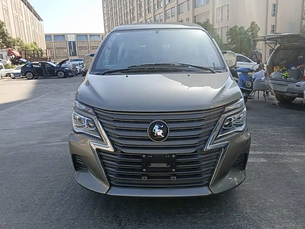 Dongfeng Lingzhi 2024