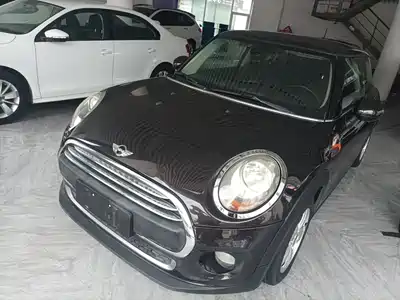 MINI MINI 2015