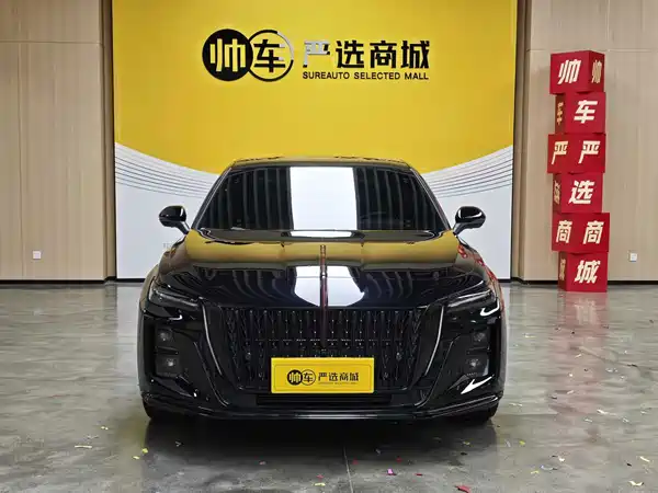 Hongqi H5 2024