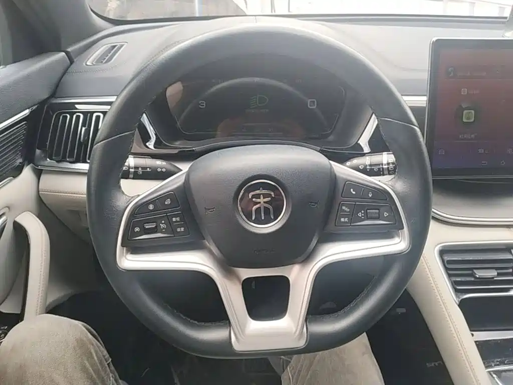 BYD Song PLUS New Energy 2022 — фото 11