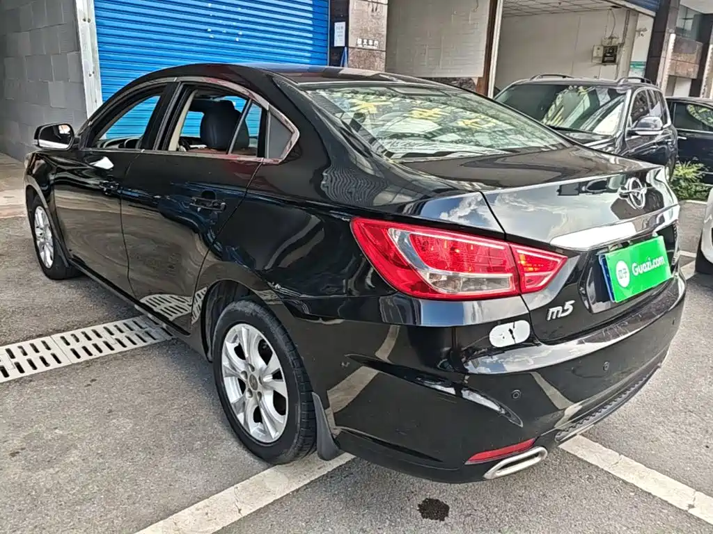 Haima Vanda Electric 2015 — фото 5
