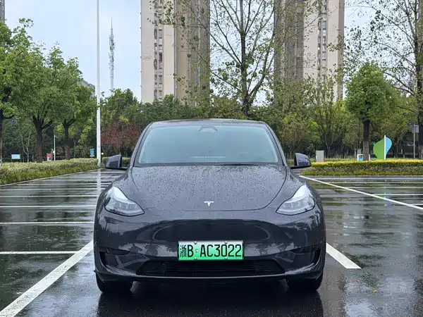 Tesla Model Y 2025