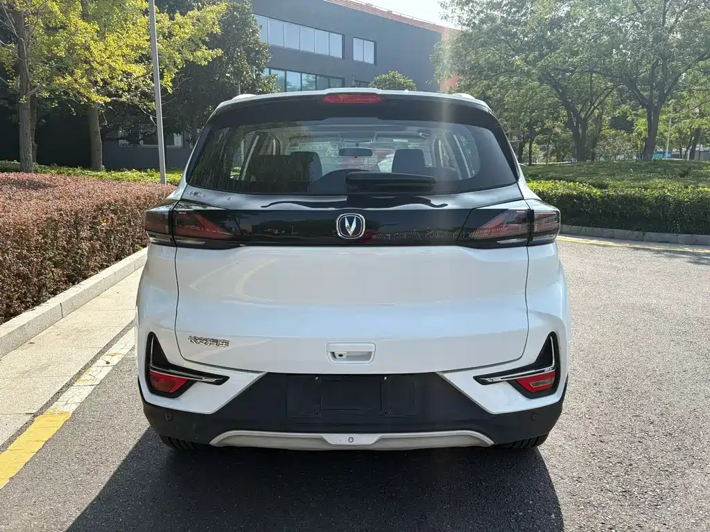Changan New Energy E-Pro 2020 — фото 8