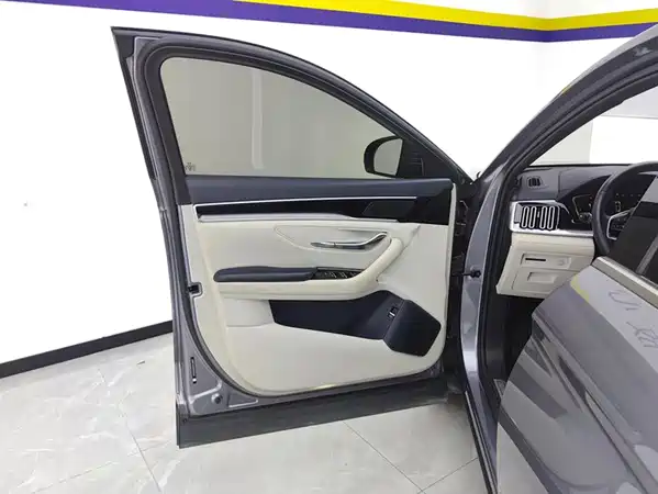 BYD Song PLUS New Energy 2023