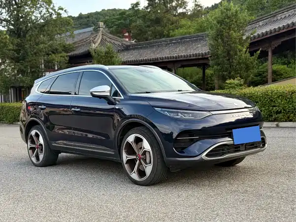 Denza X 2020