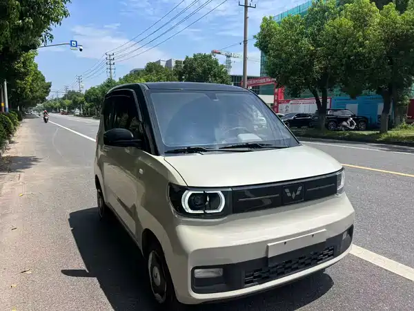 Wuling Hongguang MINIEV 2022