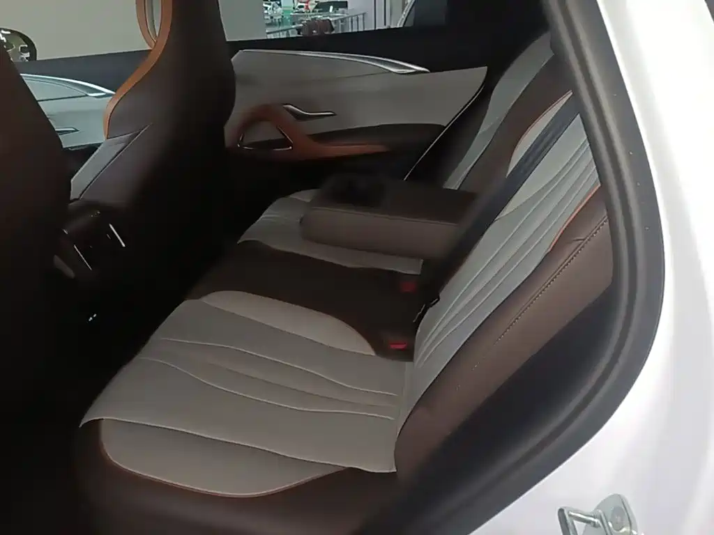 BYD Song Pro New Energy 2022 — фото 17