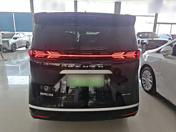 Denza D9 2025