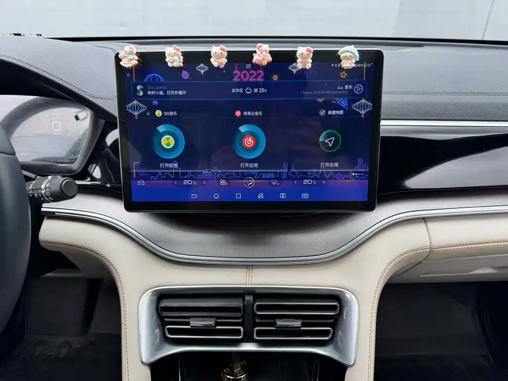 BYD Song PLUS New Energy 2022 — фото 15