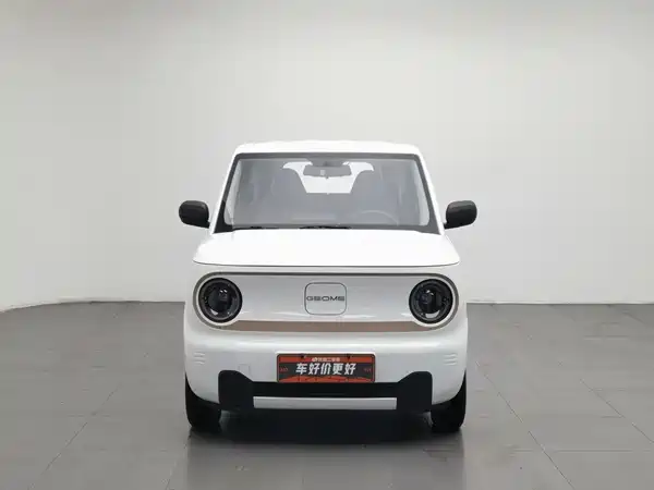 Geely Galaxy Panda 2024