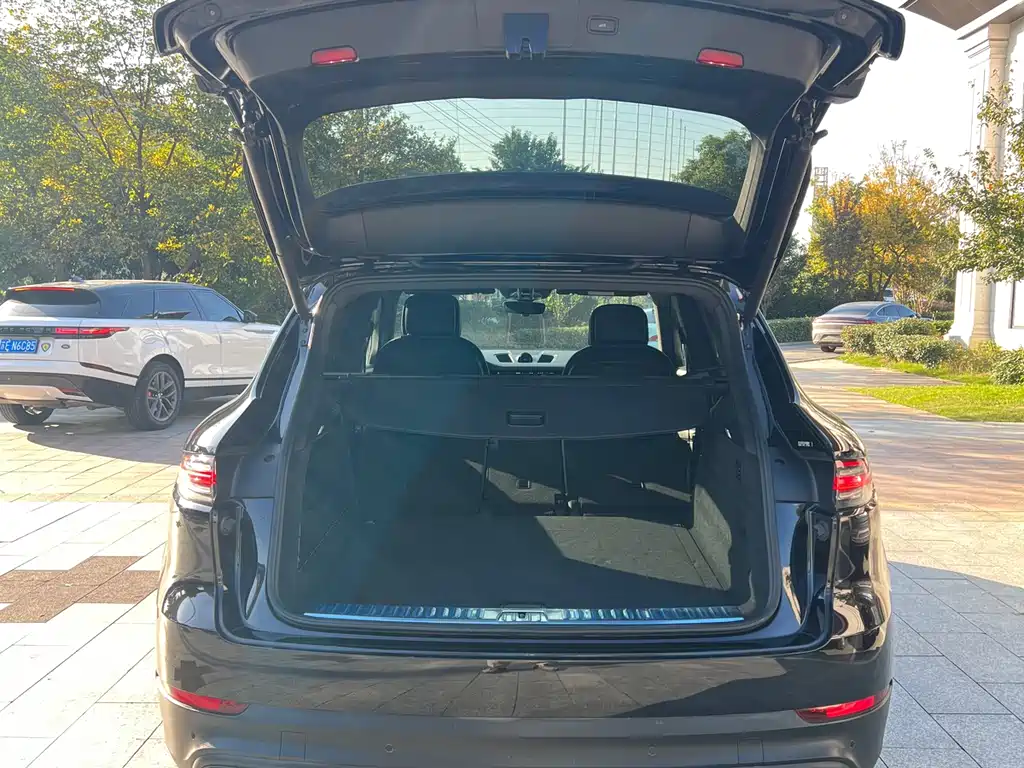 Porsche Cayenne 2020 — фото 16