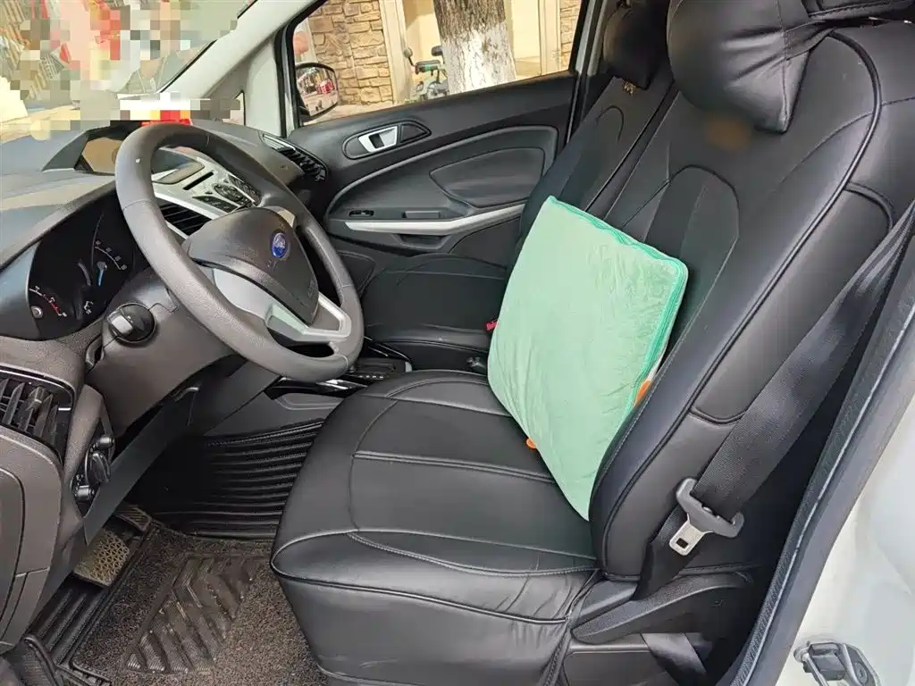 Ford Ecosport 2015 — фото 11