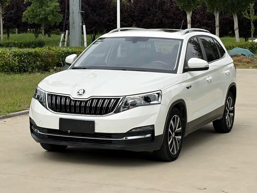 Skoda Kamiq 2021 — фото 1