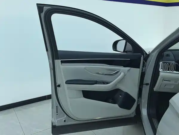 BYD Song PLUS New Energy 2024