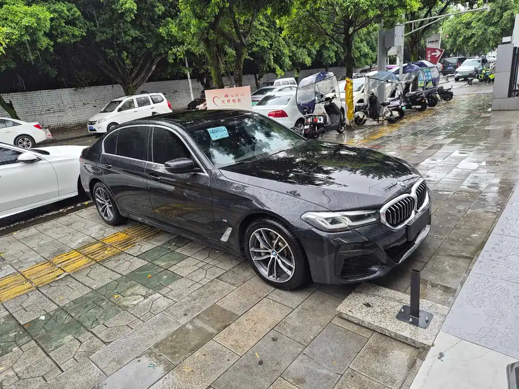 BMW 5 Series New Energy 2020 — фото 3