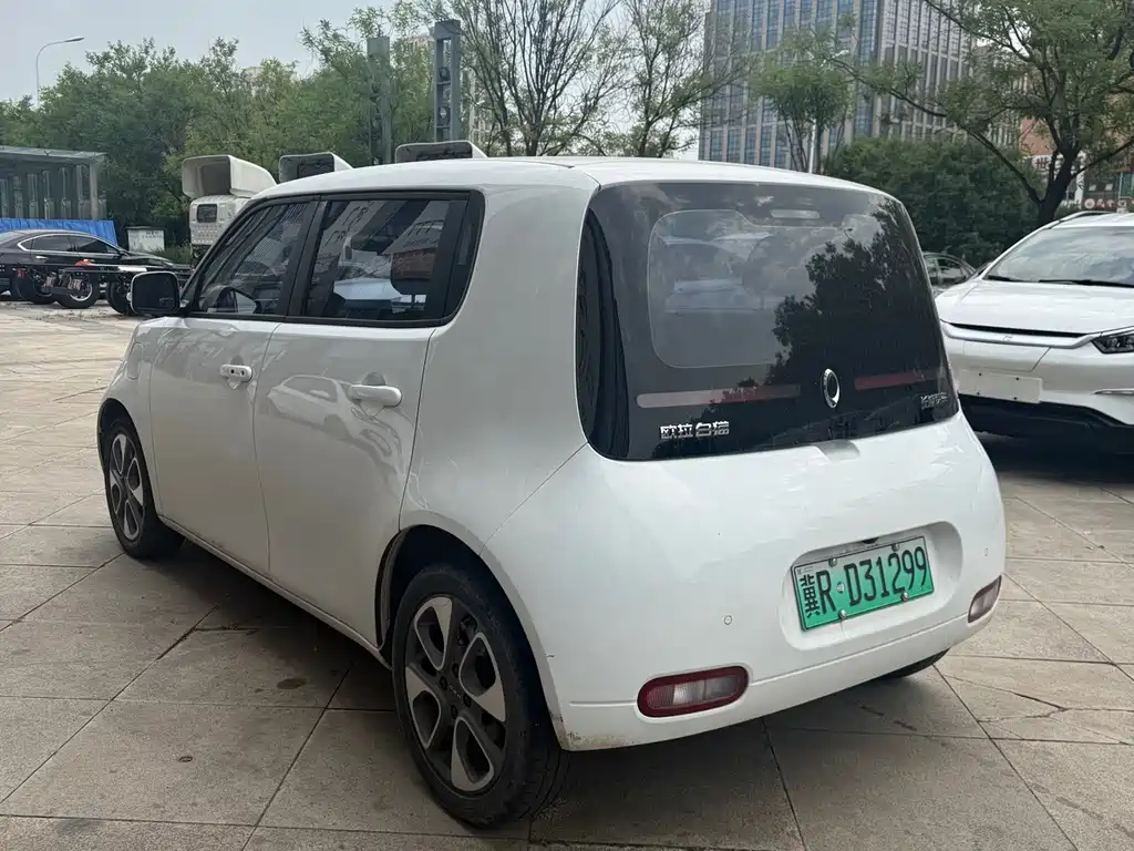Ora White Cat 2021