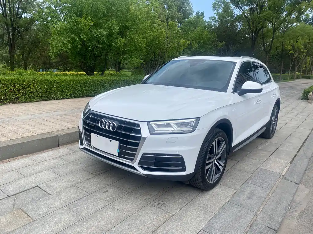 Audi Q5L 2019 — фото 1