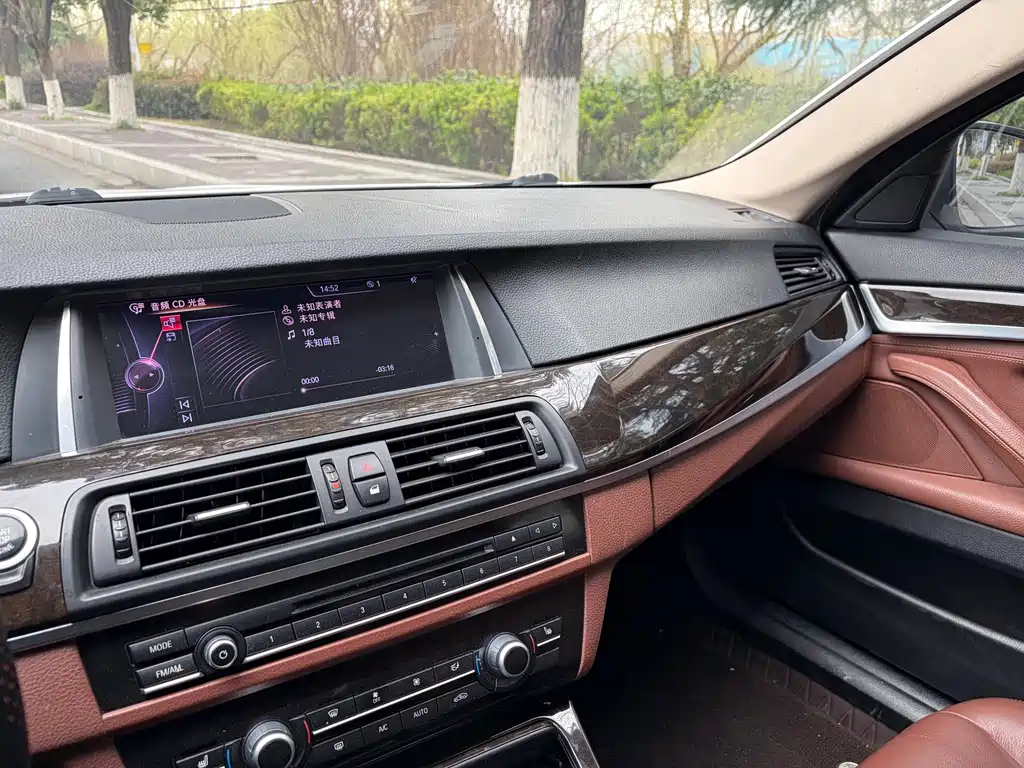 BMW 5 Series 2014 — фото 13