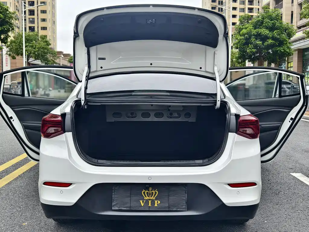 Chevrolet Cavalier 2020 — фото 12