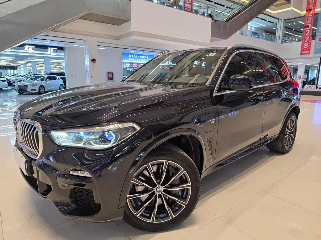 BMW X5 New Energy 2021 — фото 1