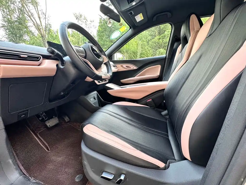 BYD Seagull 2024