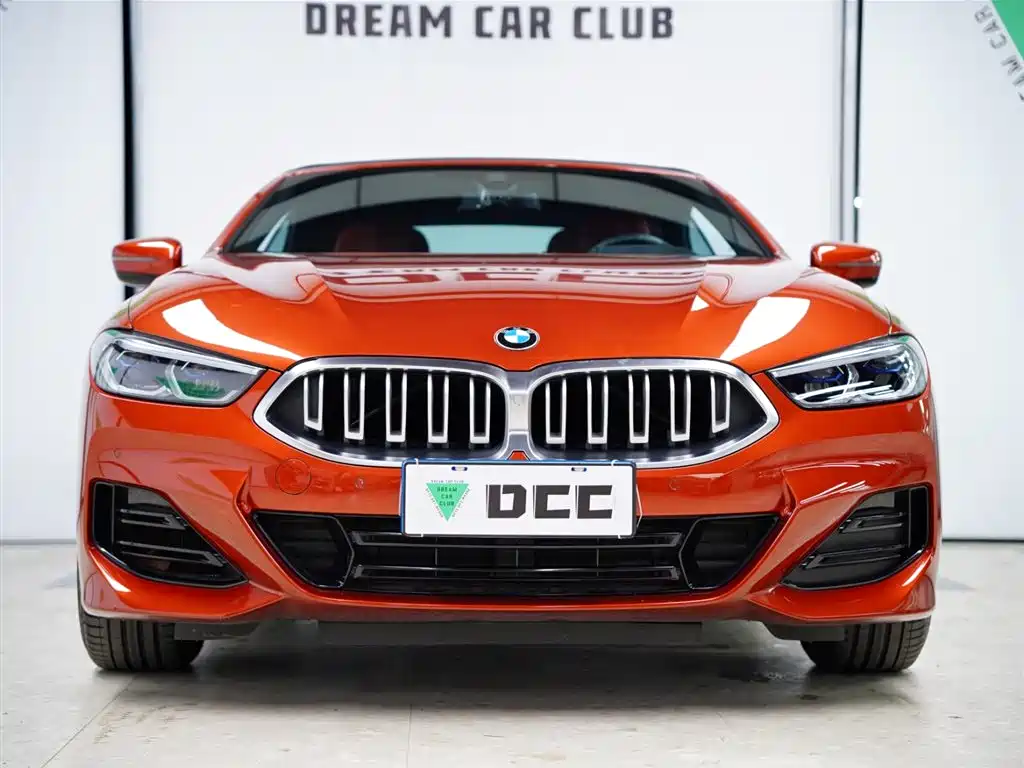 BMW 8 Series 2023 — фото 16