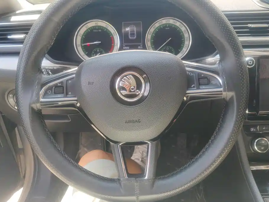 Skoda Speedy 2018 — фото 15
