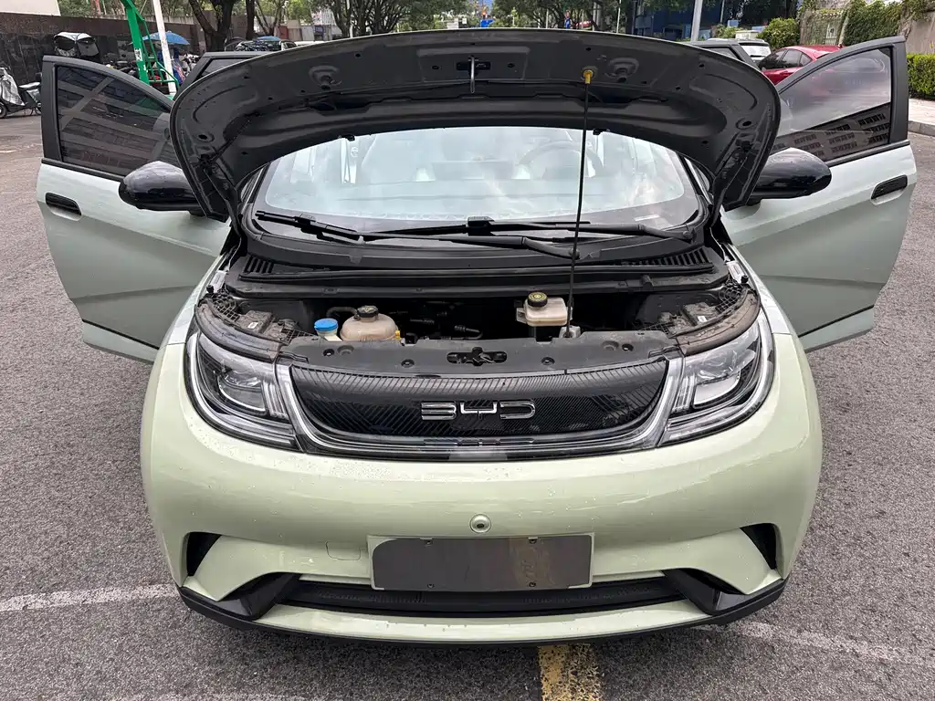 BYD Dolphin 2023 — фото 16