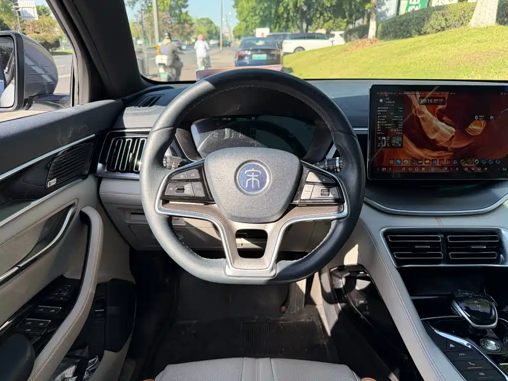 BYD Song PLUS New Energy 2022 — фото 14