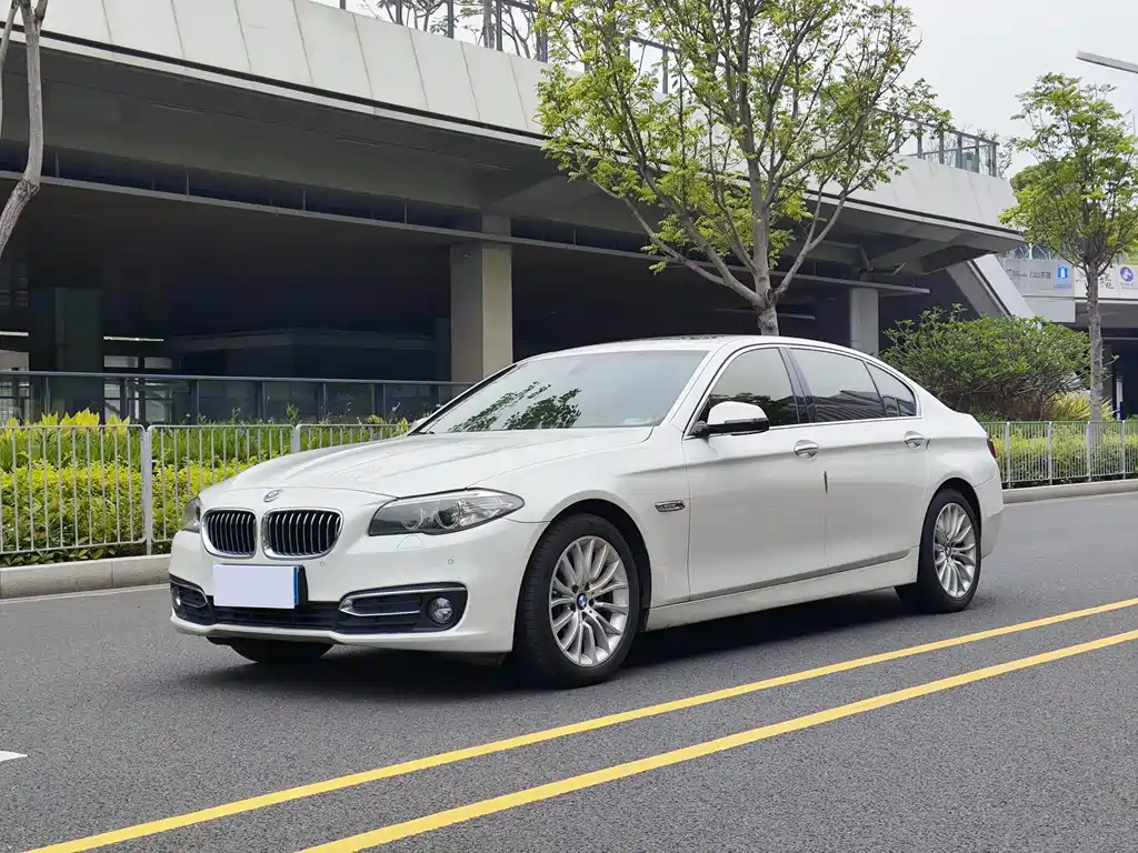 BMW 5 Series 2017 — фото 1