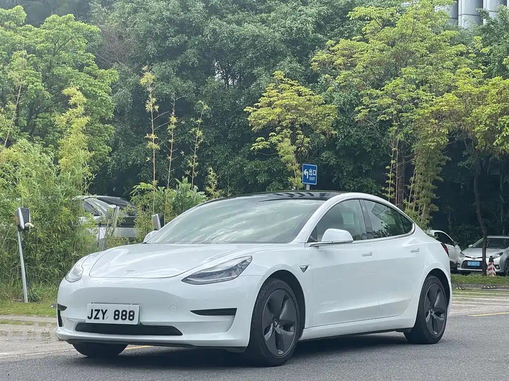 Tesla Model 3 2019