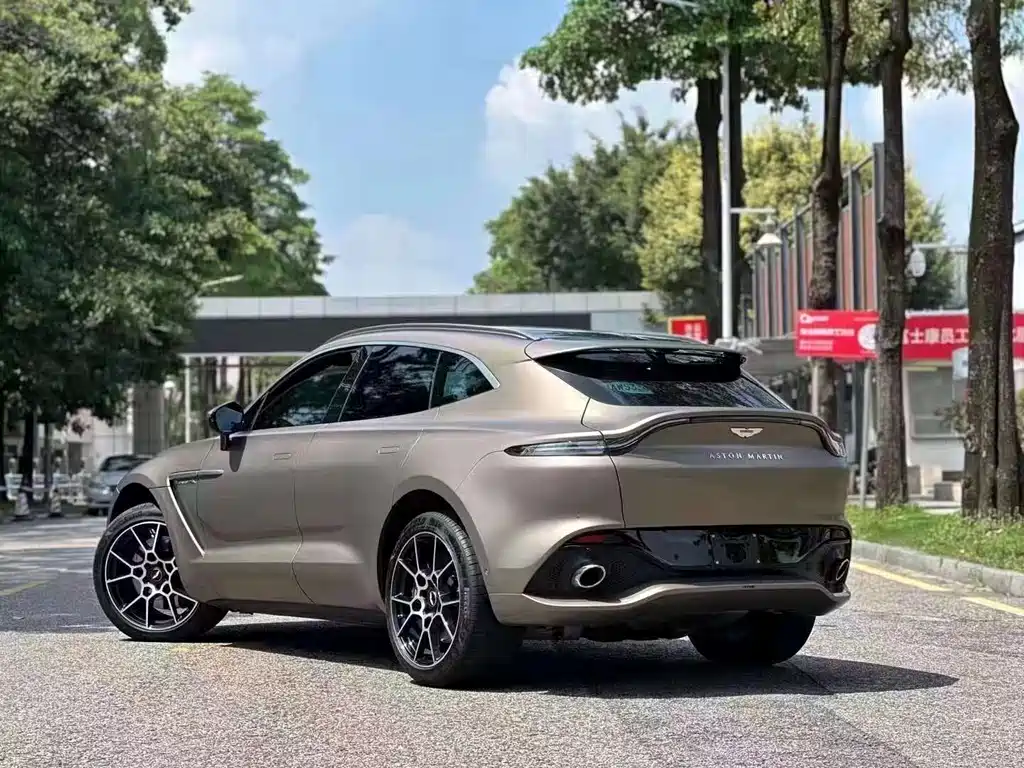 Aston Martin DBX 2021 — фото 8