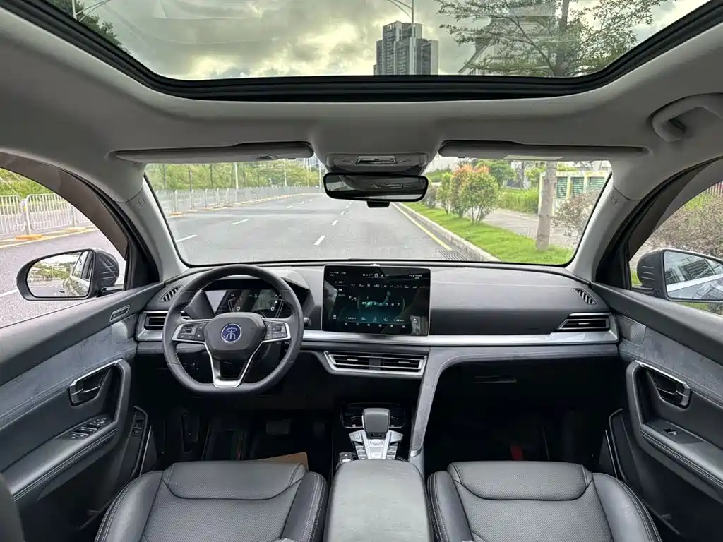 BYD Pro New Energy 2021 — фото 15