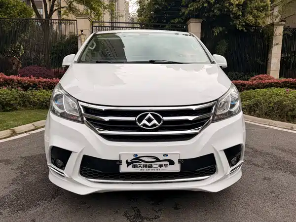 Maxus G10 2019