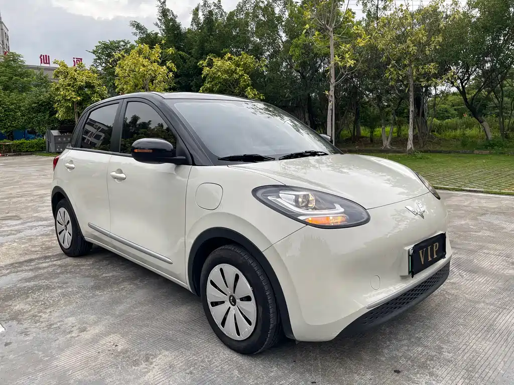 Wuling Bingo 2023