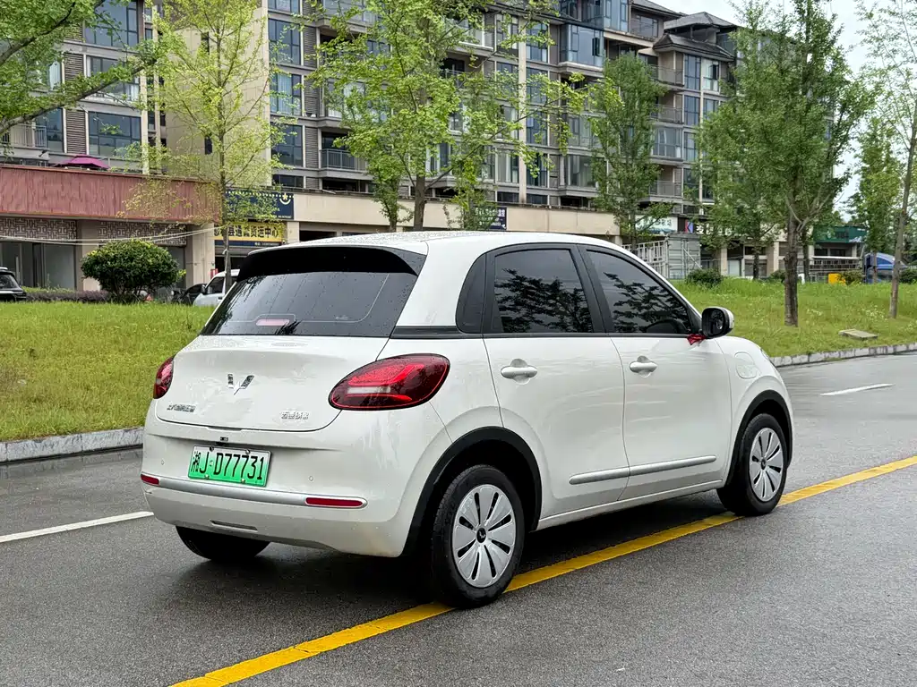 Wuling Bingo 2024