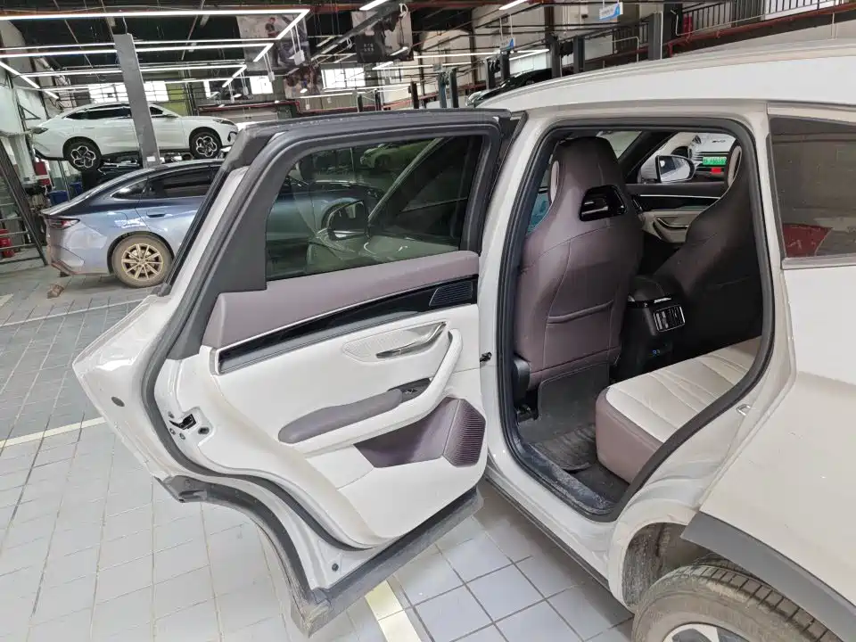 BYD PLUS New Energy 2025 — фото 6