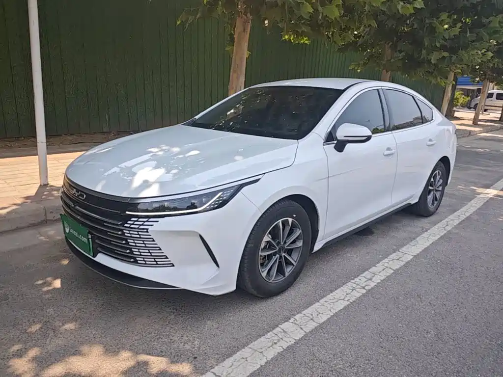 BYD Destroyer 05 2025 — фото 1