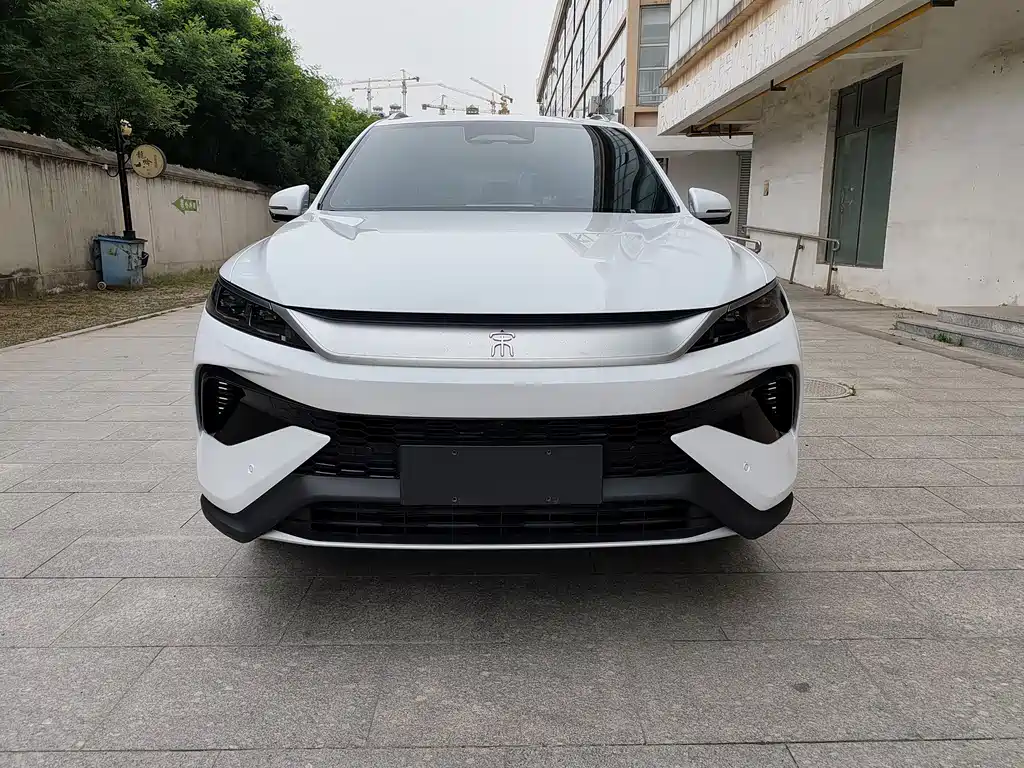 BYD Pro New Energy 2025 — фото 2