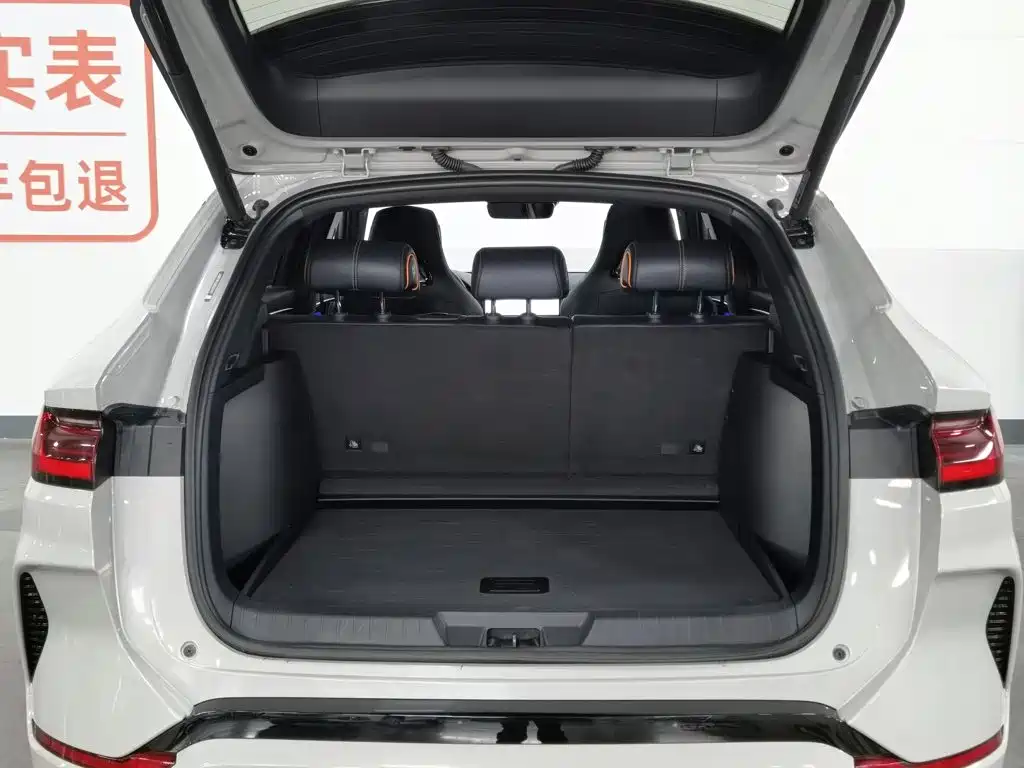 BYD Song PLUS New Energy 2024 — фото 16