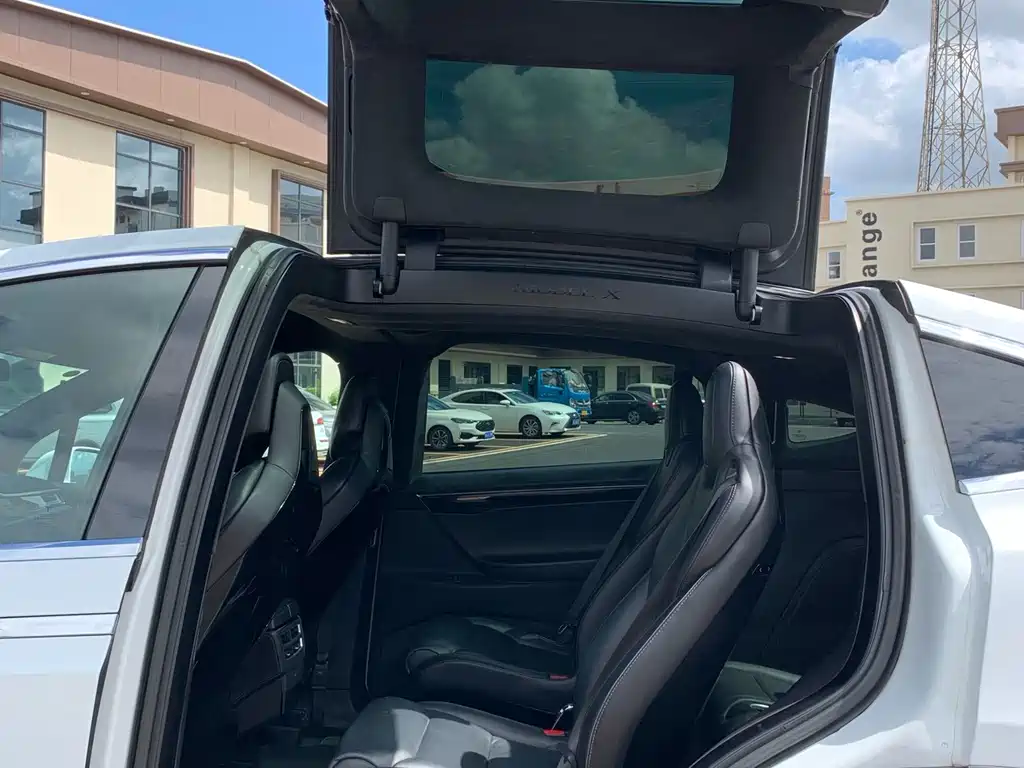 Tesla Model X 2016 — фото 15