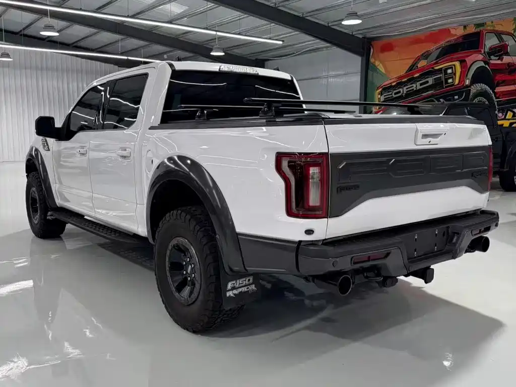 Ford F-150 Raptor 2019 — фото 9