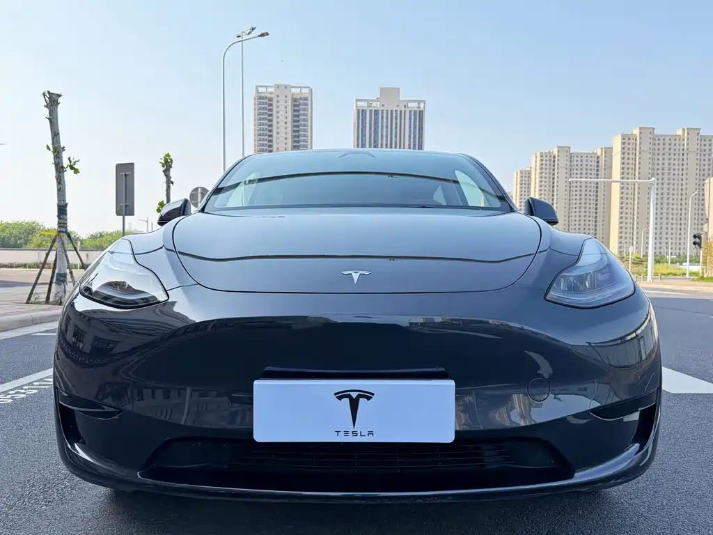 Tesla Model Y 2024 — фото 2