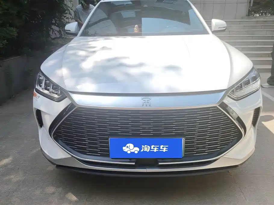 BYD PLUS New Energy 2022 — фото 2