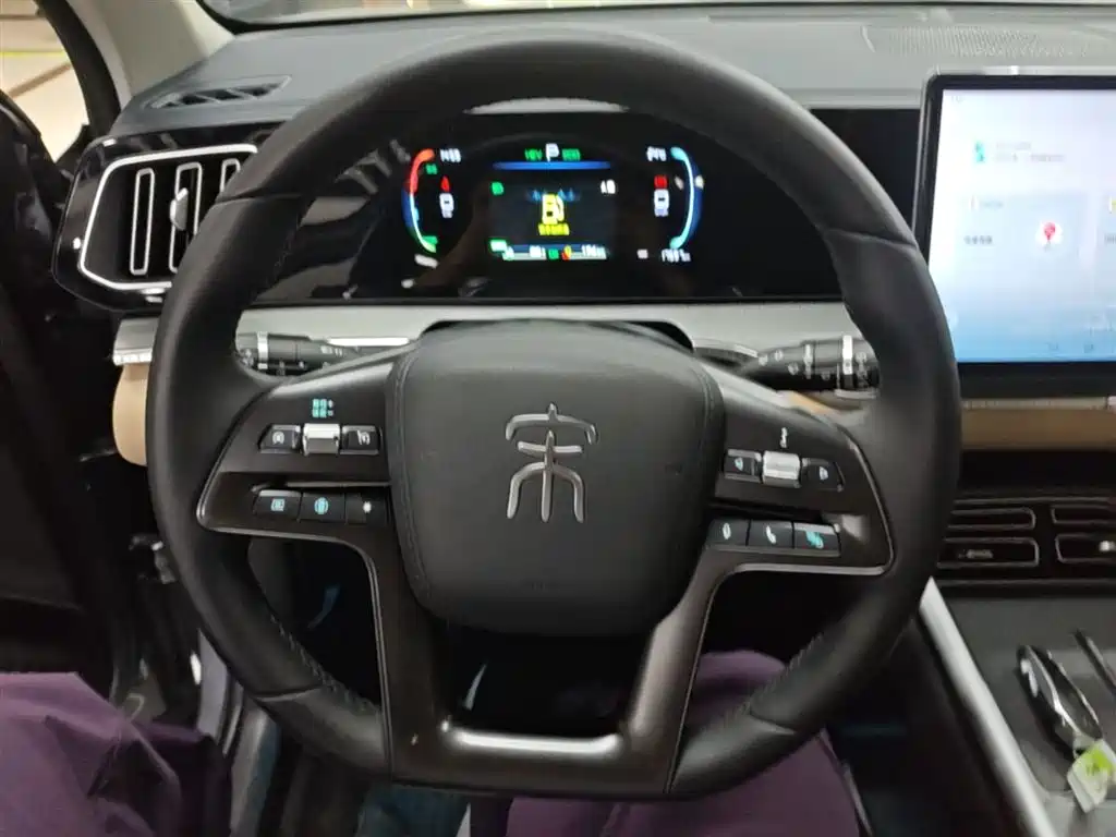 BYD Pro New Energy 2025 — фото 11