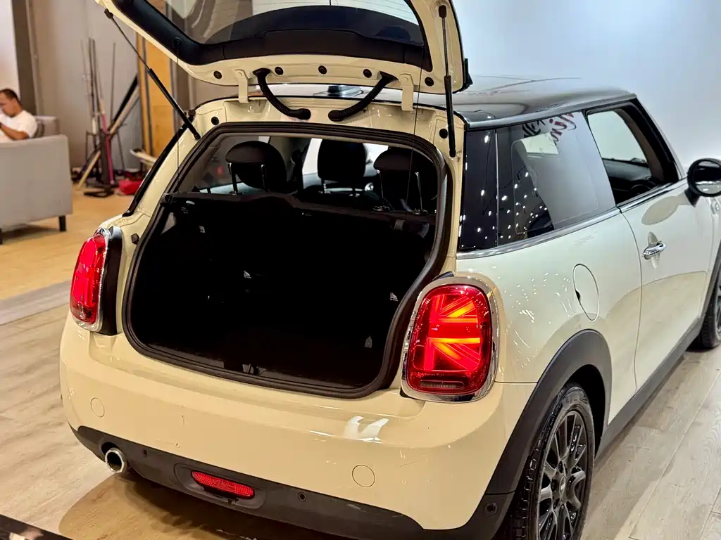 MINI MINI 2019