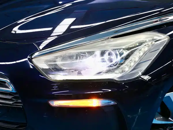 DS 5 2013